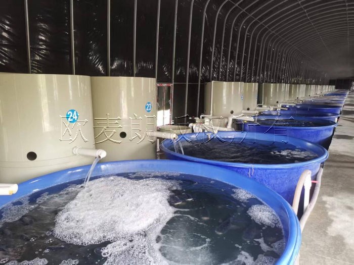 养殖恒温热泵用于工厂化室内养殖水恒温