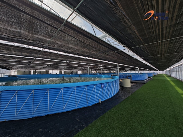 水体恒温稳收益!空气能热泵赋能工厂化水产养殖